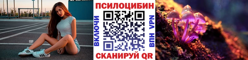 Псилоцибиновые грибы GOLDEN TEACHER  Купить  Ковылкино 